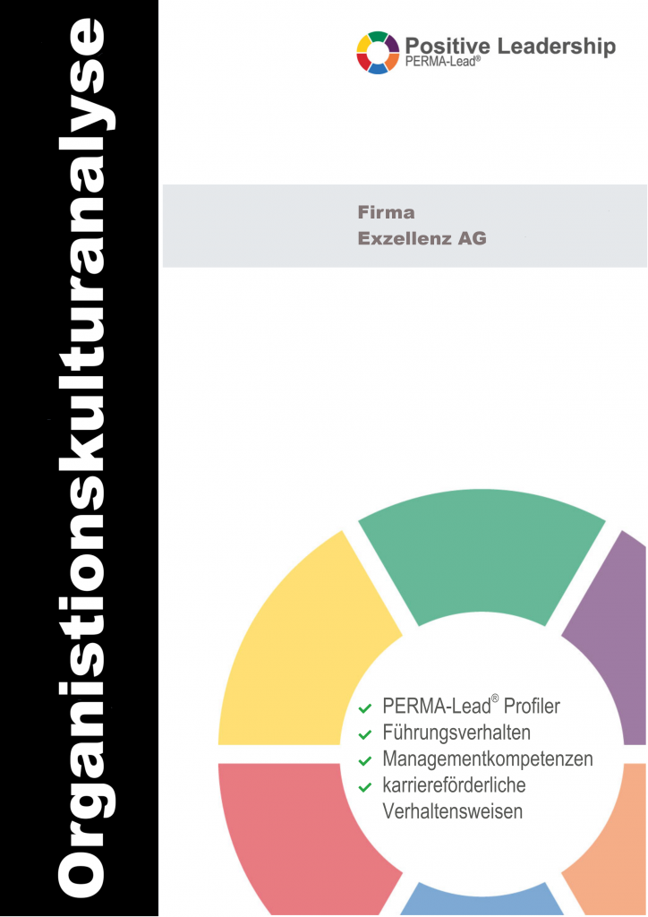 PERMA-Lead-Organisationskulturanalyse